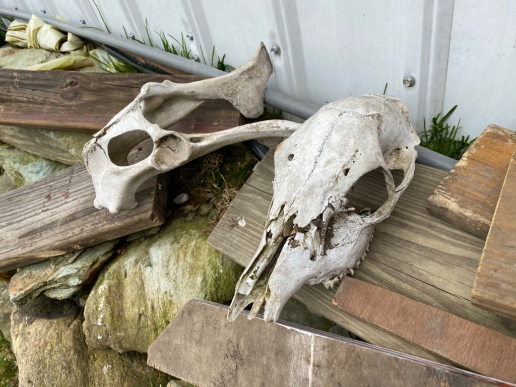 人生難得幾回瘋 由新竹衝一趟嘉明湖單攻_916062