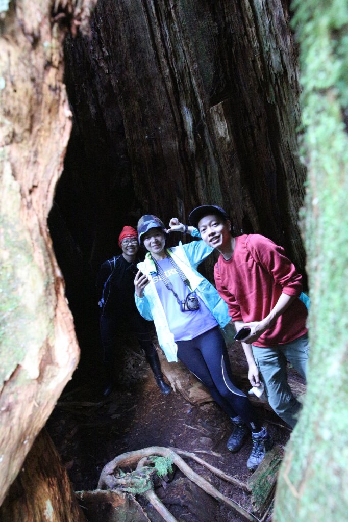 水樣森林 第一次在山裡過夜_658609