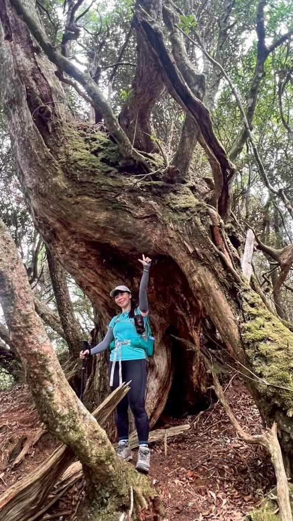 🌈9/7（日）夫拉縱走（夫婦山縱走拉拉山）✨FB：熊熊趴爬走🌈_2880909