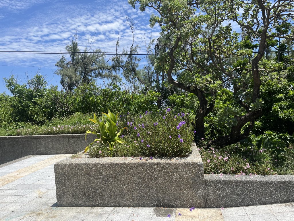 [漫遊縱谷 愛在花東-06/10] 2024_0811 三仙台步道(三仙台燈塔)_2573022