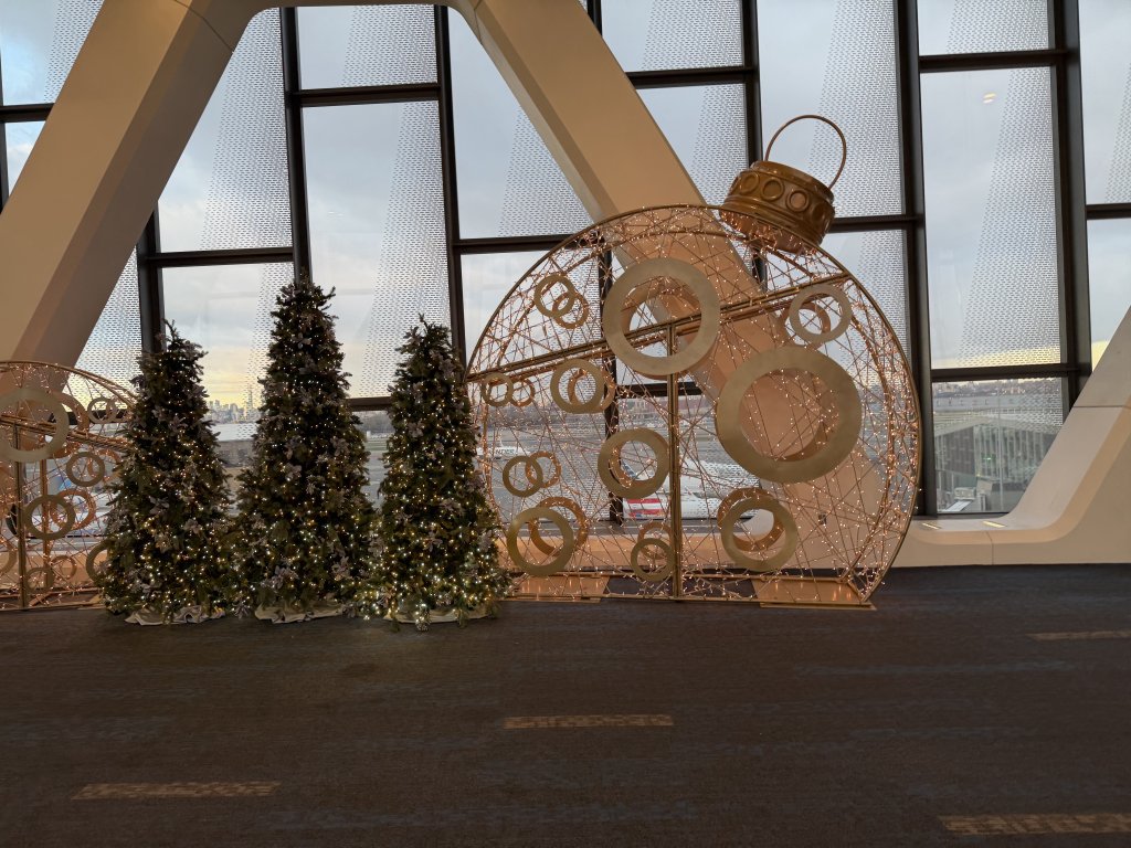 [紐約馬之行-51] 2025_1111 印地安納州極光_2952766