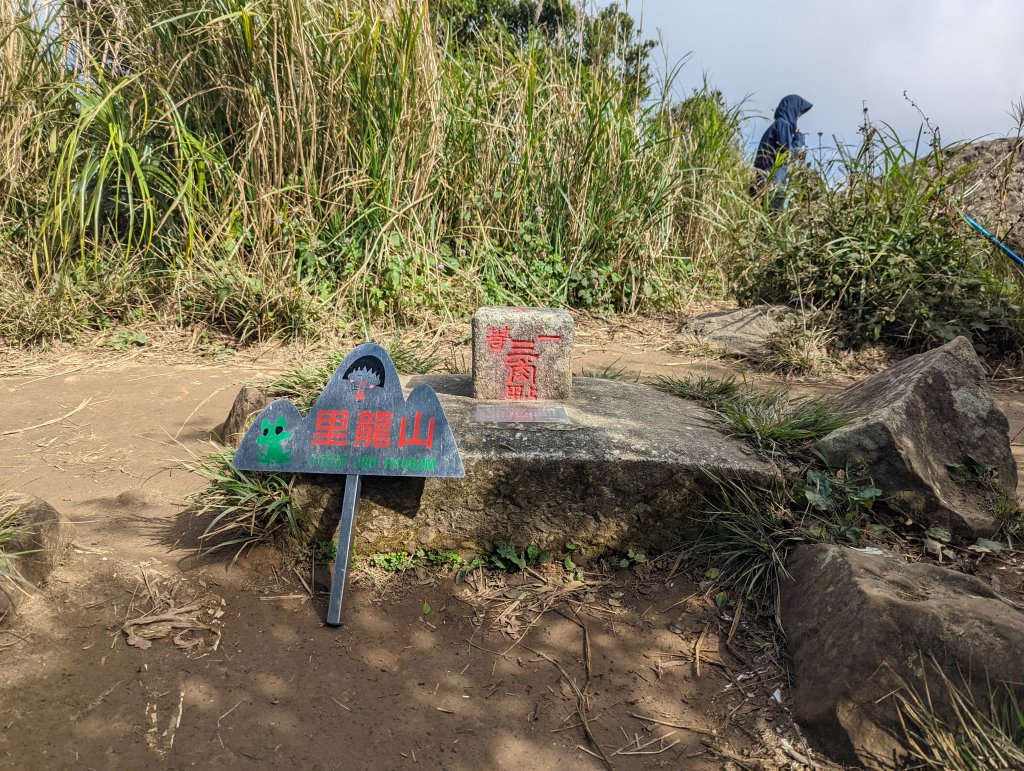 防護措施完善的五星級步道：里龍山(小百岳#80)_1535991