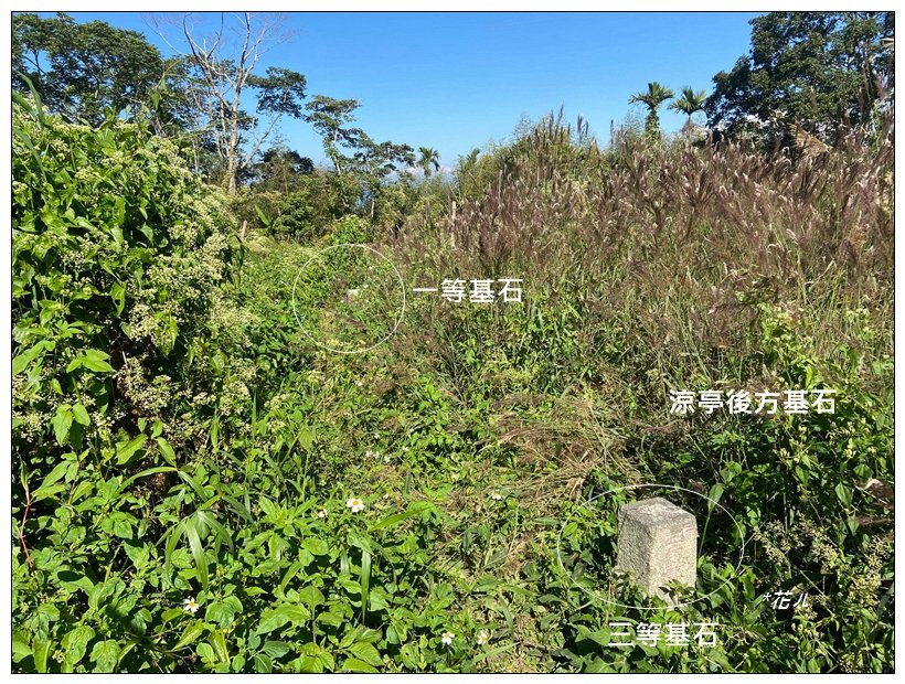 麒麟潭步道、尖子頂山(南投、鹿谷)_2665767