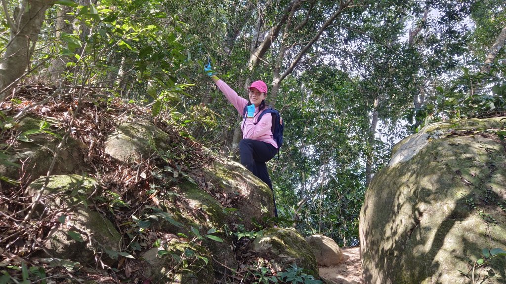 (姨婆趴趴走)第四十六集:新竹關西赤柯山及南峰、東西獅頭山、馬福山環狀縱走_2685738