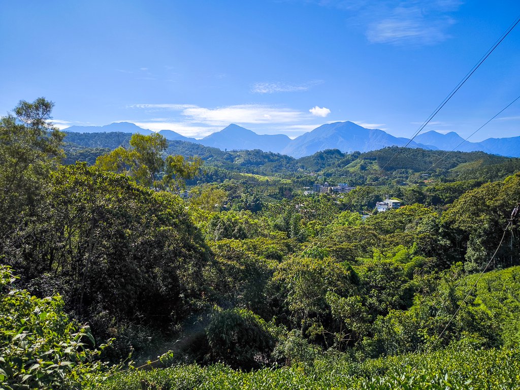 2024-08-22 澀水森林步道_2578345