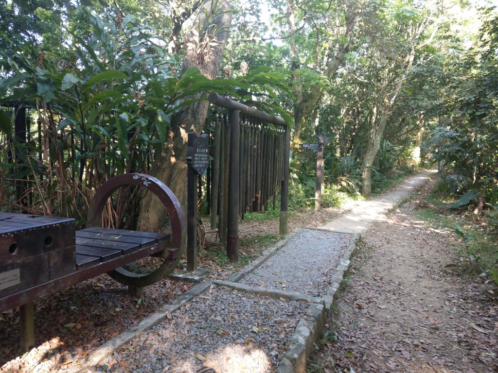 貓空隨意行［樟湖步道、待老坑山、杏花林、明德宮、樟山寺］及政大小坑溪親水文學步道(2021/4/6)_1417879