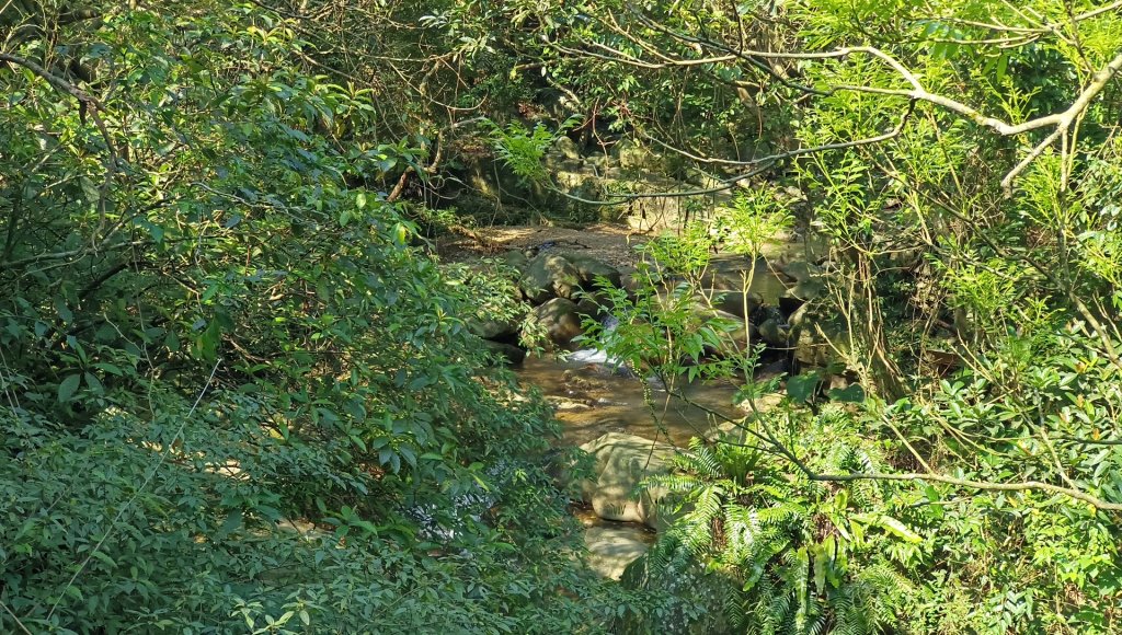 (姨婆趴趴走)第四十八集:新北草嶺古道（福隆車站-大里車站）_2747652