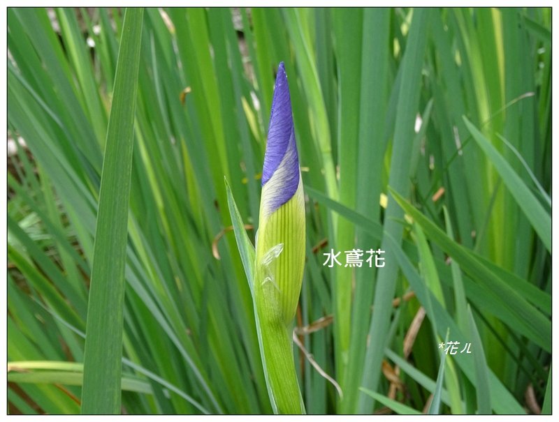 下橫坑山/921GPS圖根點_876990