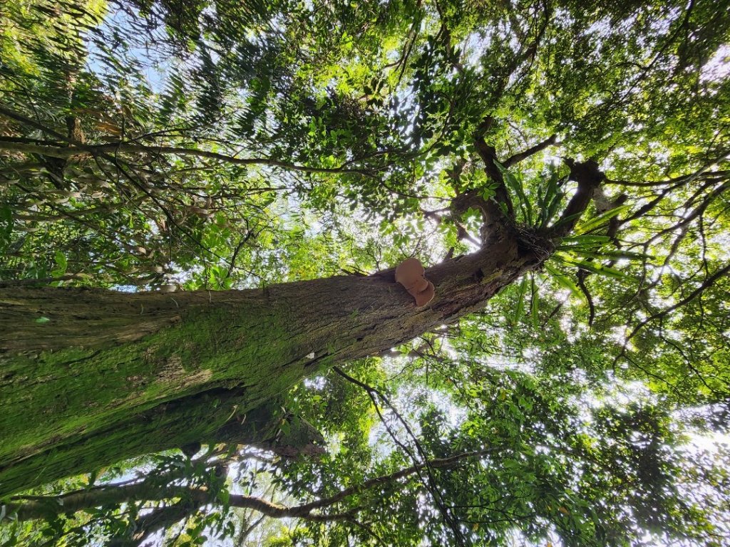 溪州山+新溪州山_2107629