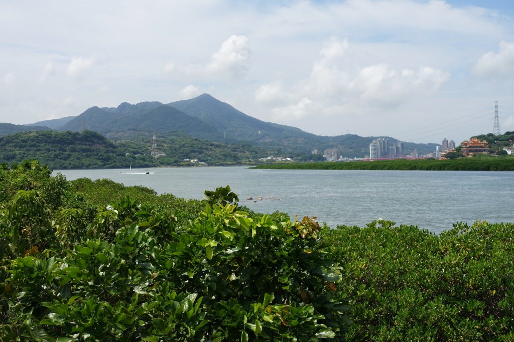 社子島自行車道．島頭公園_1105792