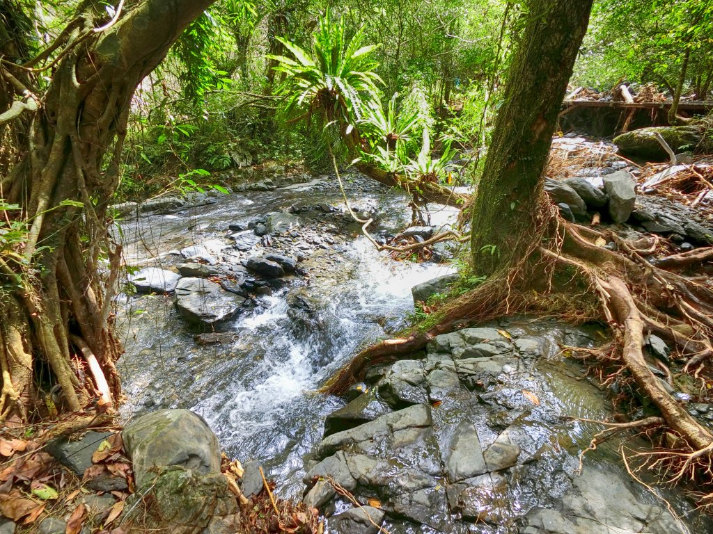 擁有小太魯閣之稱的林美石磐步道_656510