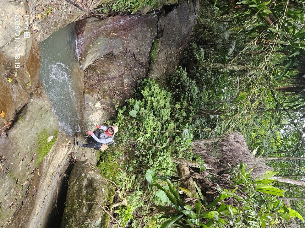 20260112月扇湖山&四分子古道O走+烏塗溪步道_2986628