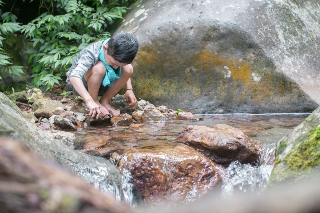 台北秘境之旅（三板橋-大屯溪古道-小觀音山西北峰）_1789669