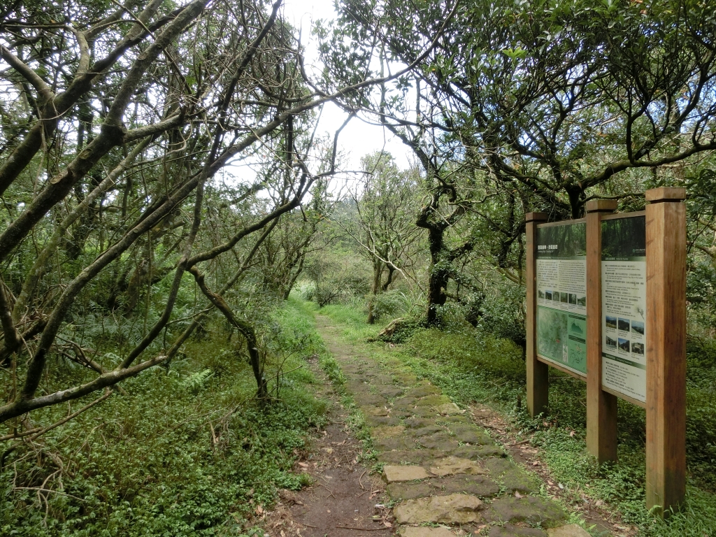 大屯坪．大屯山主峰_94908