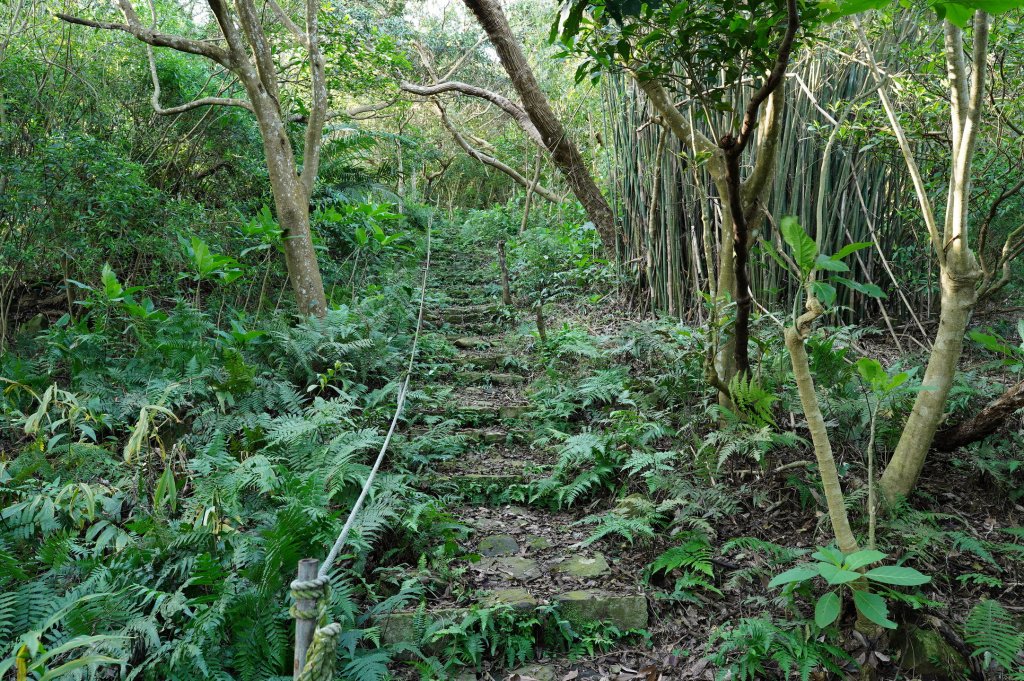 新北 八里 觀音山、牛港稜山_2681332