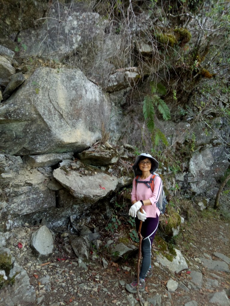 中之關步道+小百岳白雲山_1861809