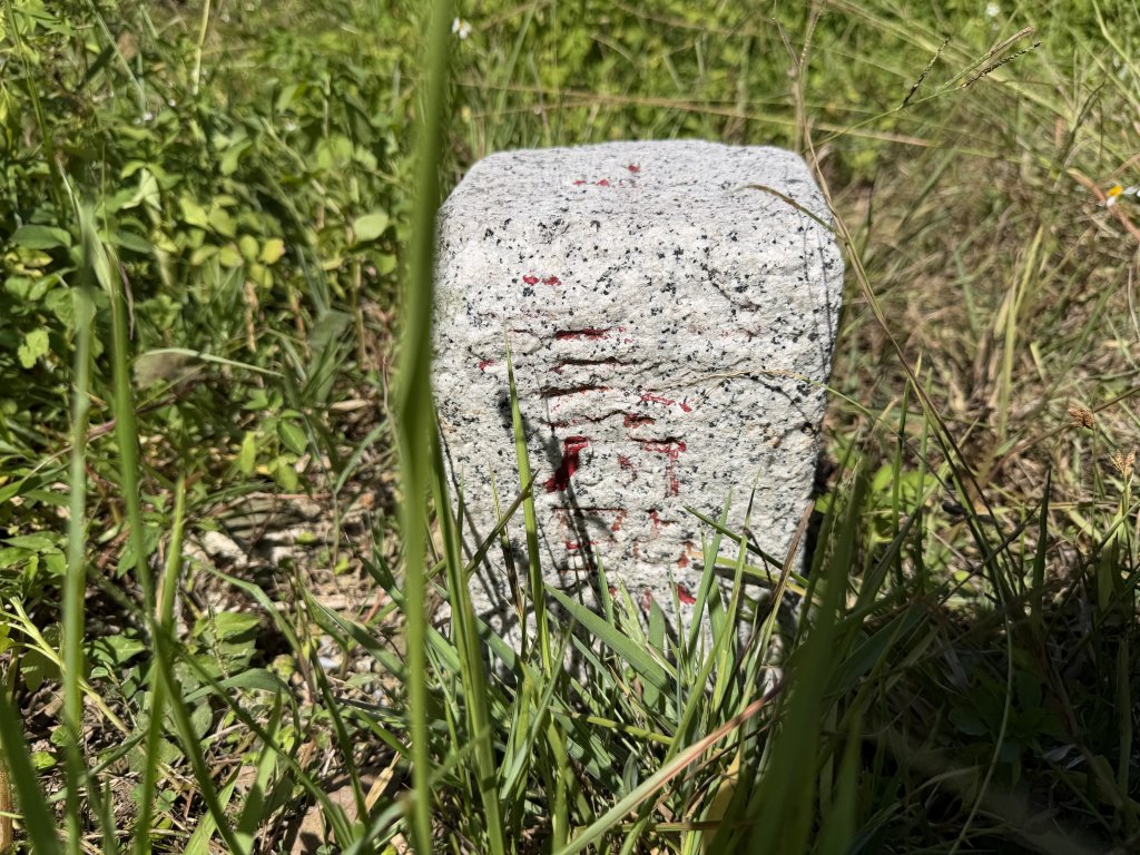 2025_1018 花蓮山步道_2921292