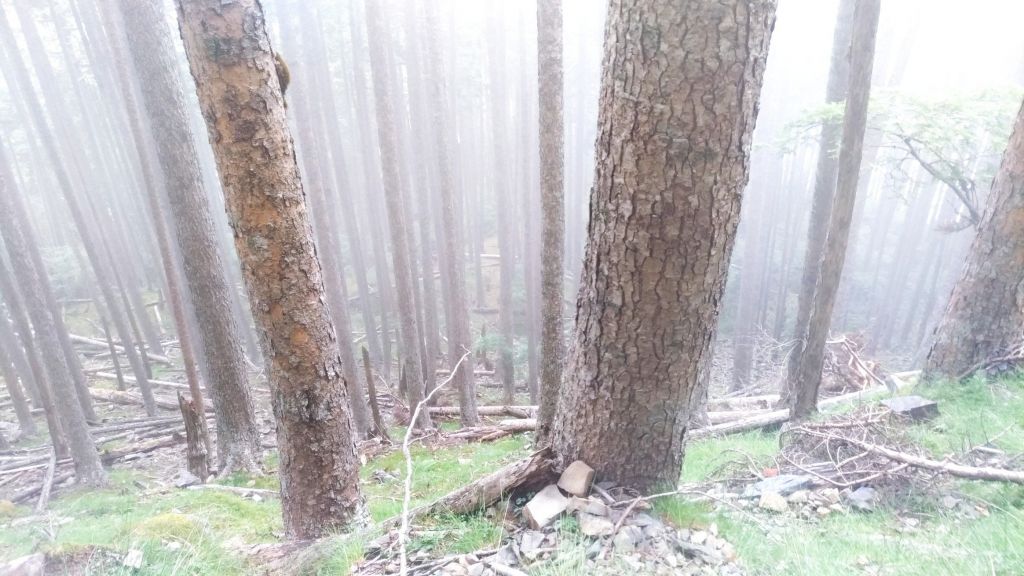 【六路會師之雪主東】_376997