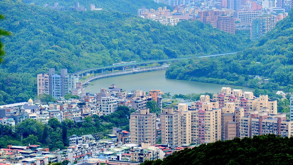 白石湖沒有百合花。晶片關稅_2781585