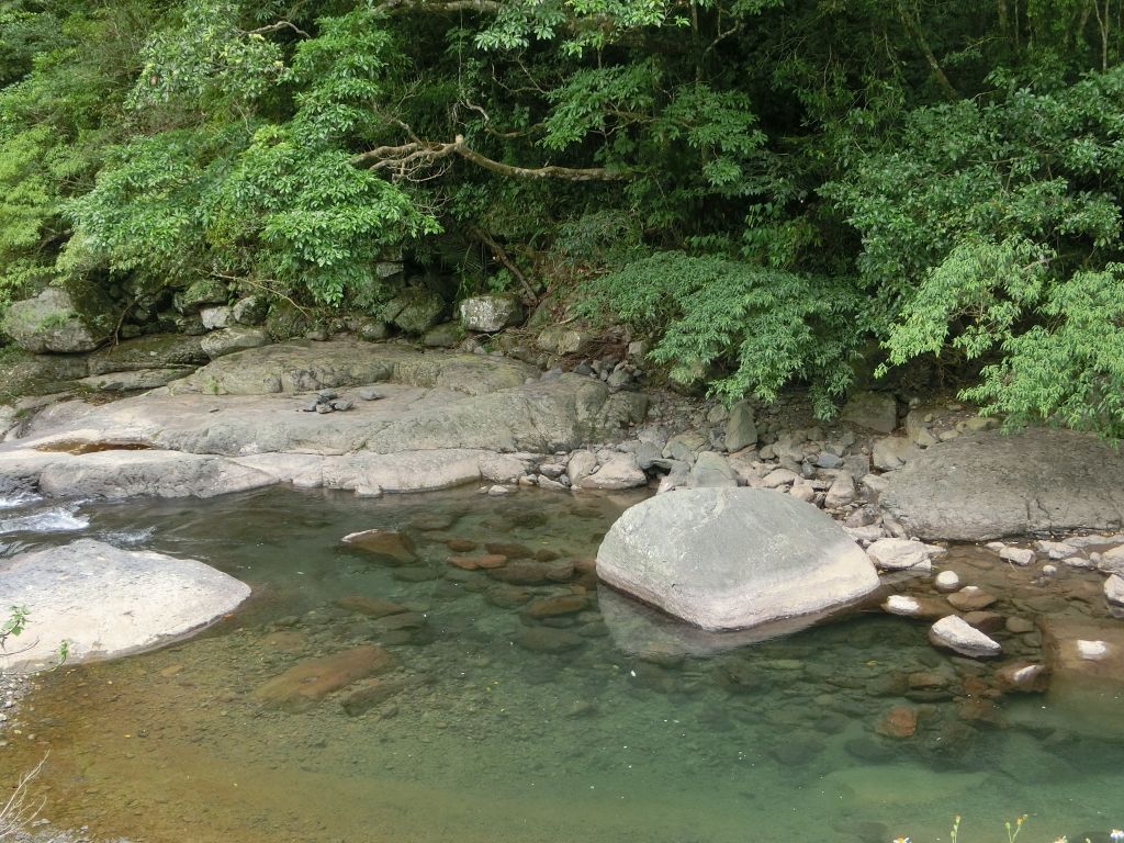 滿月圓森林步道_147458