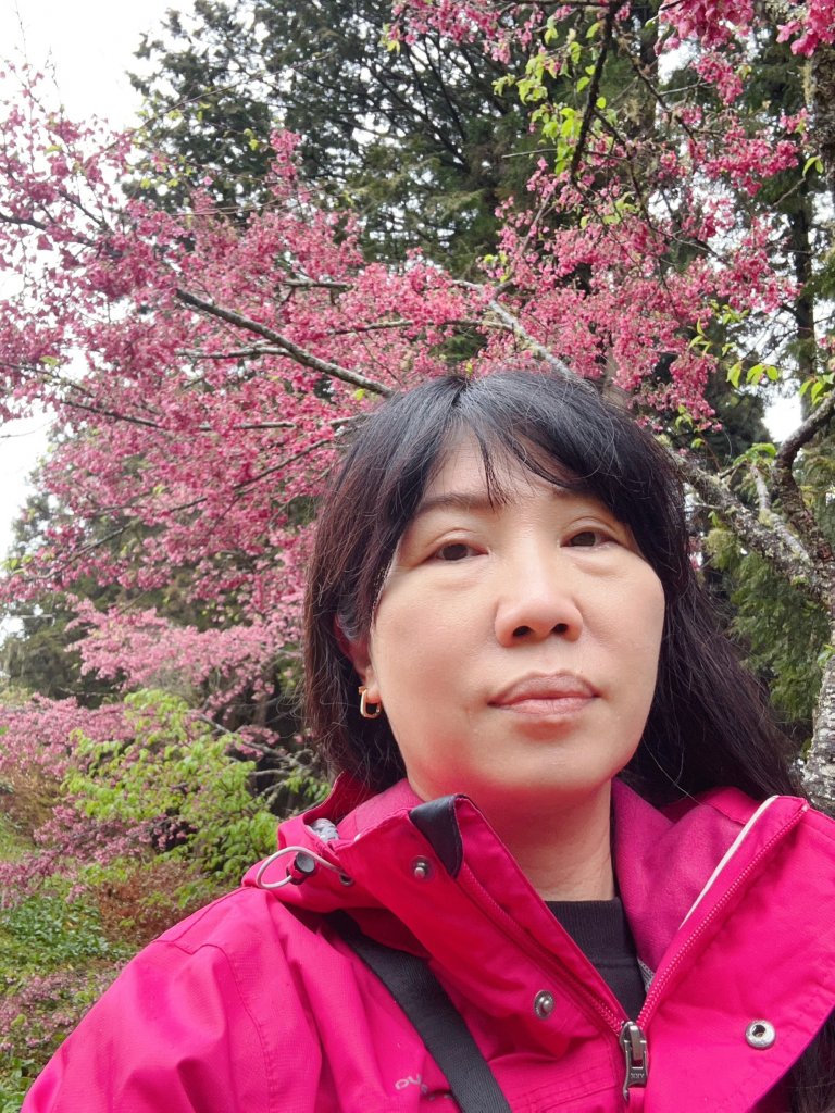 2023尋訪消失的眠月線聚焦失落沉寂的百年鐵道之旅_2110478