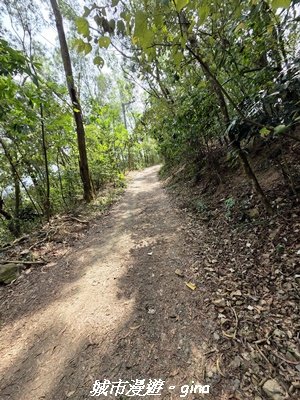 【屏東瑪家】小百岳笠頂山步道_3013102
