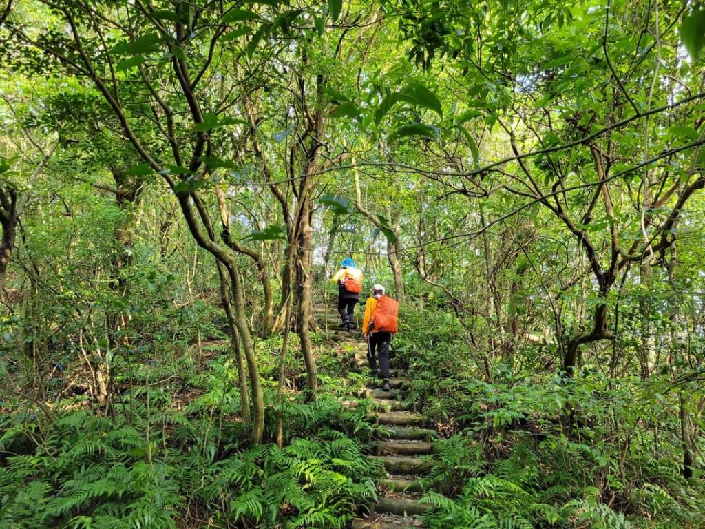 112.12.07 淡蘭古道（雙溪-十分）_2551548