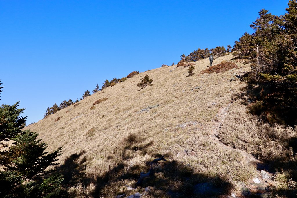 雪山西稜縱走_832660