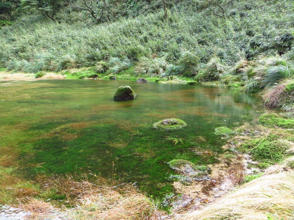 七星山秘境與池水美景 ..._24789