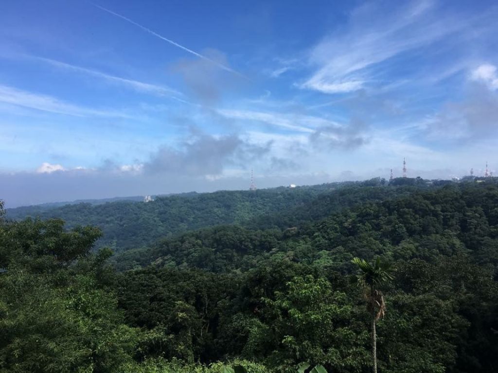 藤山步道_304092