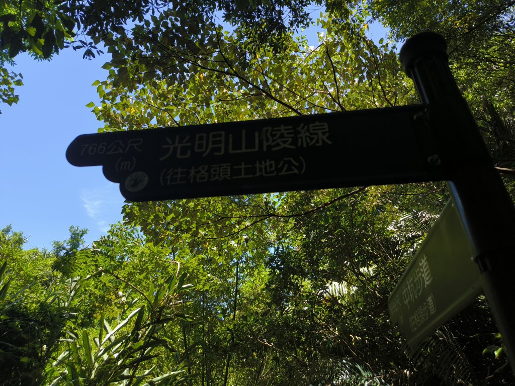 20250815微笑山線大棟山系百年大榕樹段_2859914