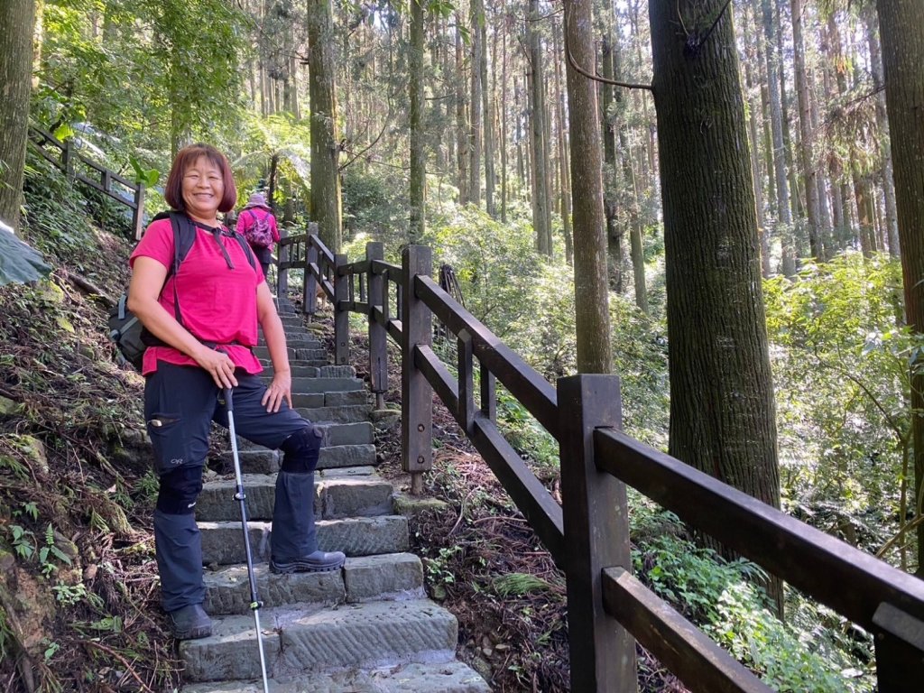 奮起湖環狀步道、麻竹湖步道_2638122