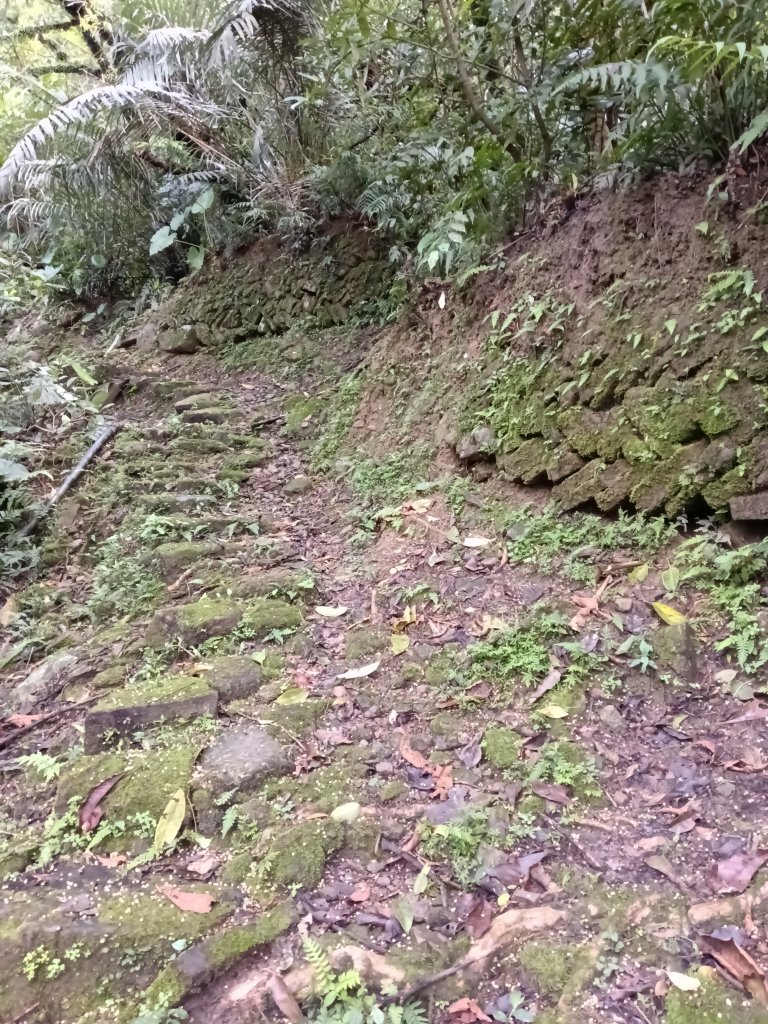 雙溪區三叉港+遠景古道+楊廷理古道+雞母嶺街O型_2758635