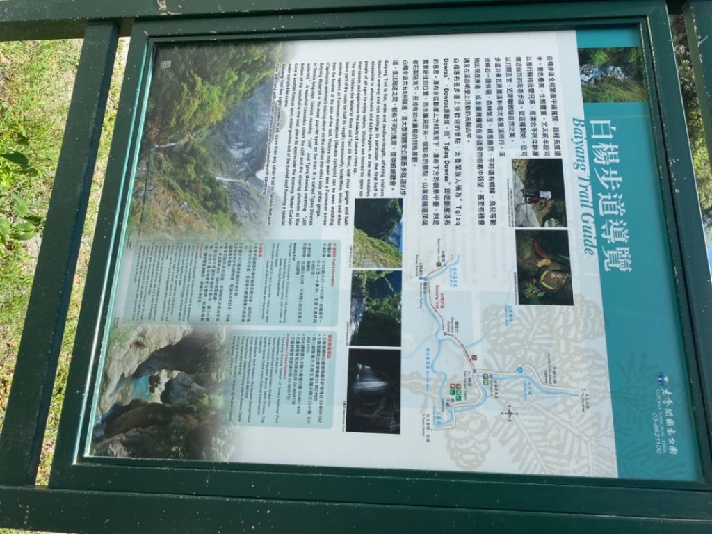 20200727 貓仔們之白楊步道探索_1068198