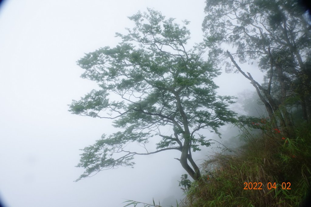 臺南 南化 刣牛湖山_1664324