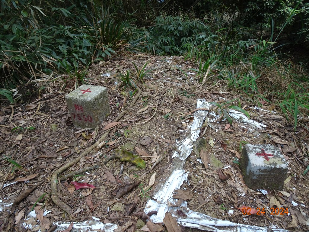 矢場谷山縱走勃子山往返_2436200