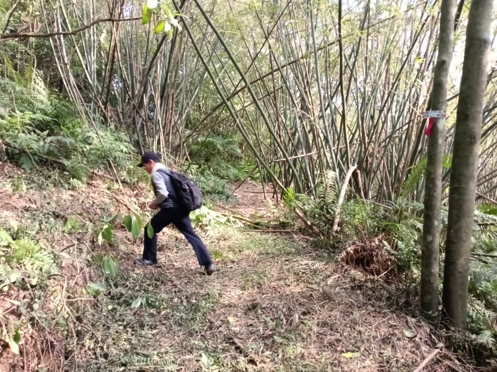 基隆市三層山+湳子大崙+淡基橫斷古道+面桶寮土地公_2982228