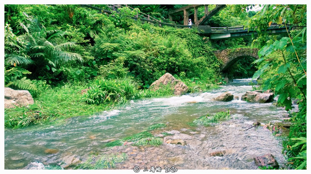 基隆山之雲霧封面圖