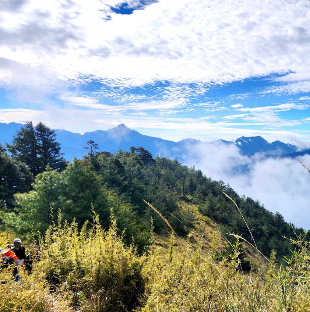 【百岳】志佳陽大山_2779828