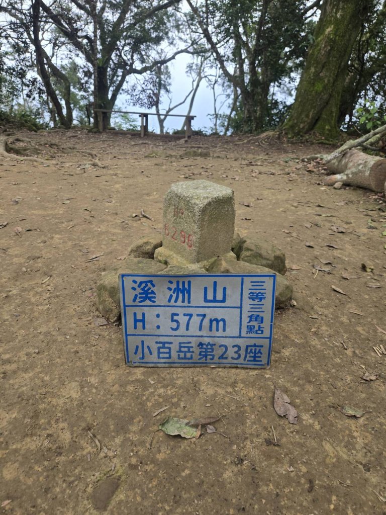新手登山者的艱辛：挑戰溪洲山_2713957