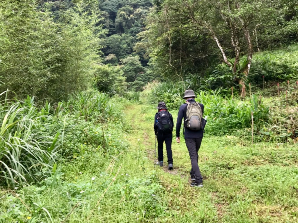 九芎根登山步道_621567