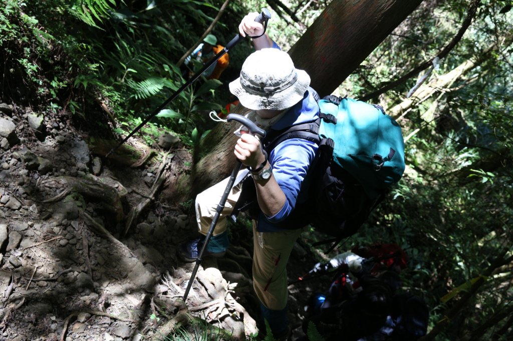 水樣森林 第一次在山裡過夜_658554