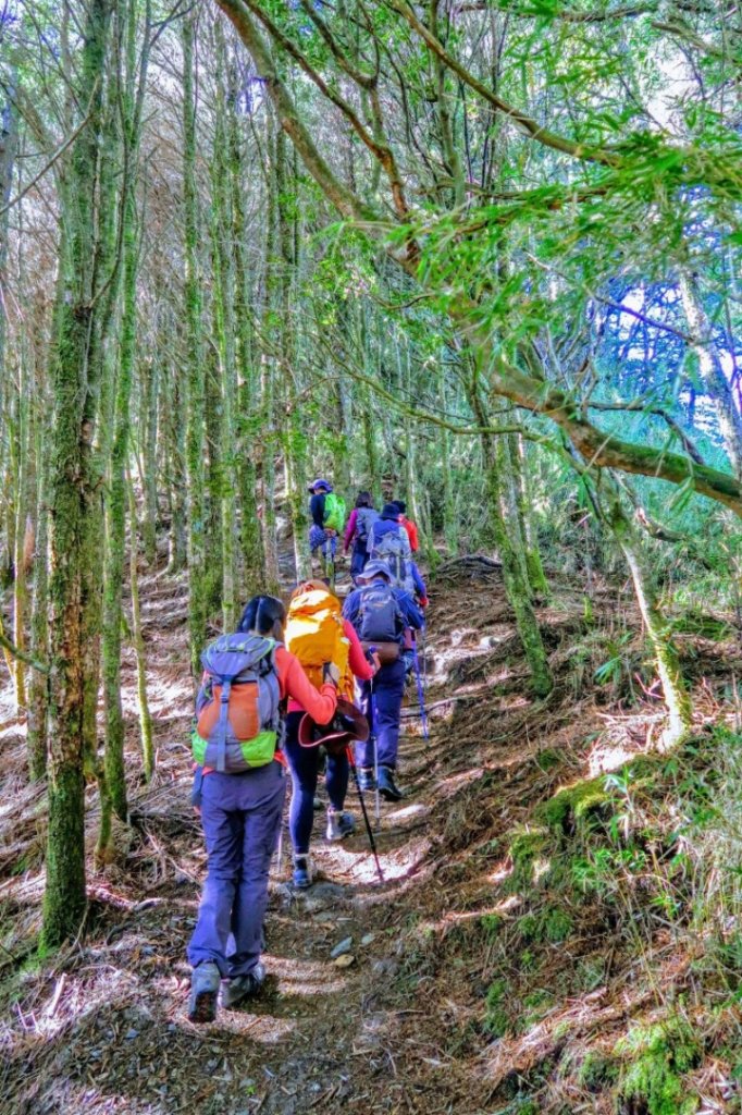 郡大山封面圖