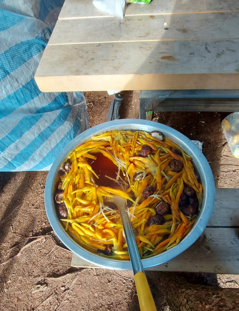 111/07/23畢羊縱走DAY 1(大禹嶺-820林道-畢祿山-鋸東山屋)_1777536