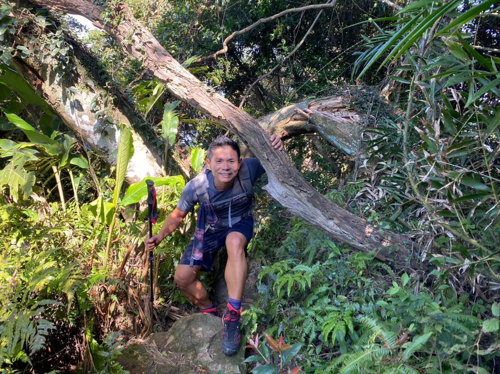 金面山.金山面山.十三份山.山麻坑山【暗藏玄機 不容你小覷的郊山縱走】_2384837