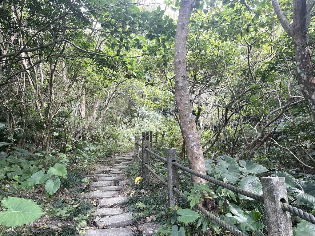 小百岳｜屏東獅子鄉女仍山_1606821