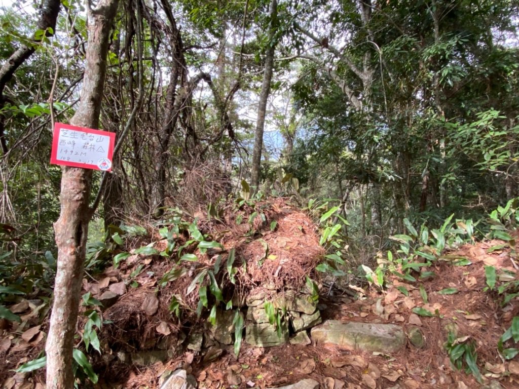 芝生毛台山、虎禮山連走_1369007