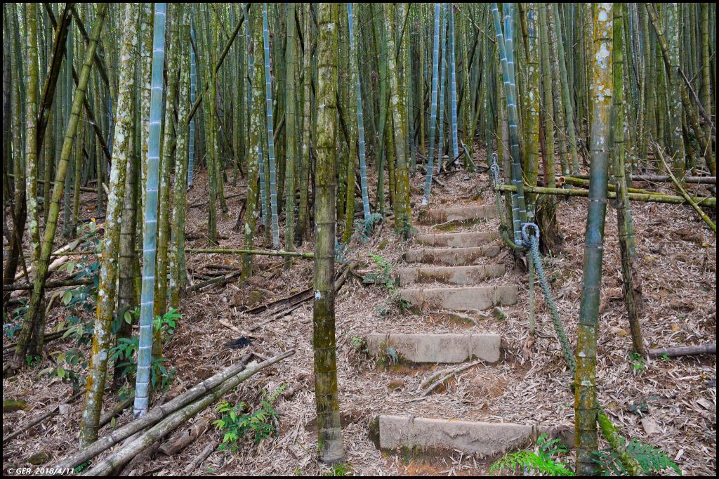 日月潭。翱翔 鷹的視野 ~ 水社大山_310664