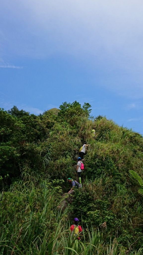 黃金一稜～基隆山東峰 (雷霆峰)→主峰0型_377393
