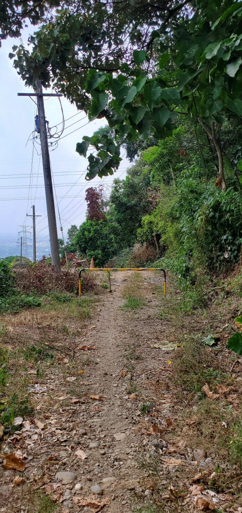 2021-10-10橫山步道_1484972